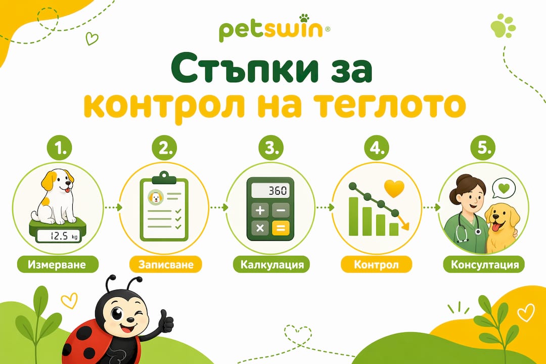 Инфографика: лесни стъпки за контрол на теглото на домашния любимец