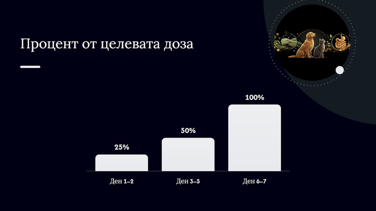 Колко влакнини да давате и как да ги въвеждате безопасно — overview diagram