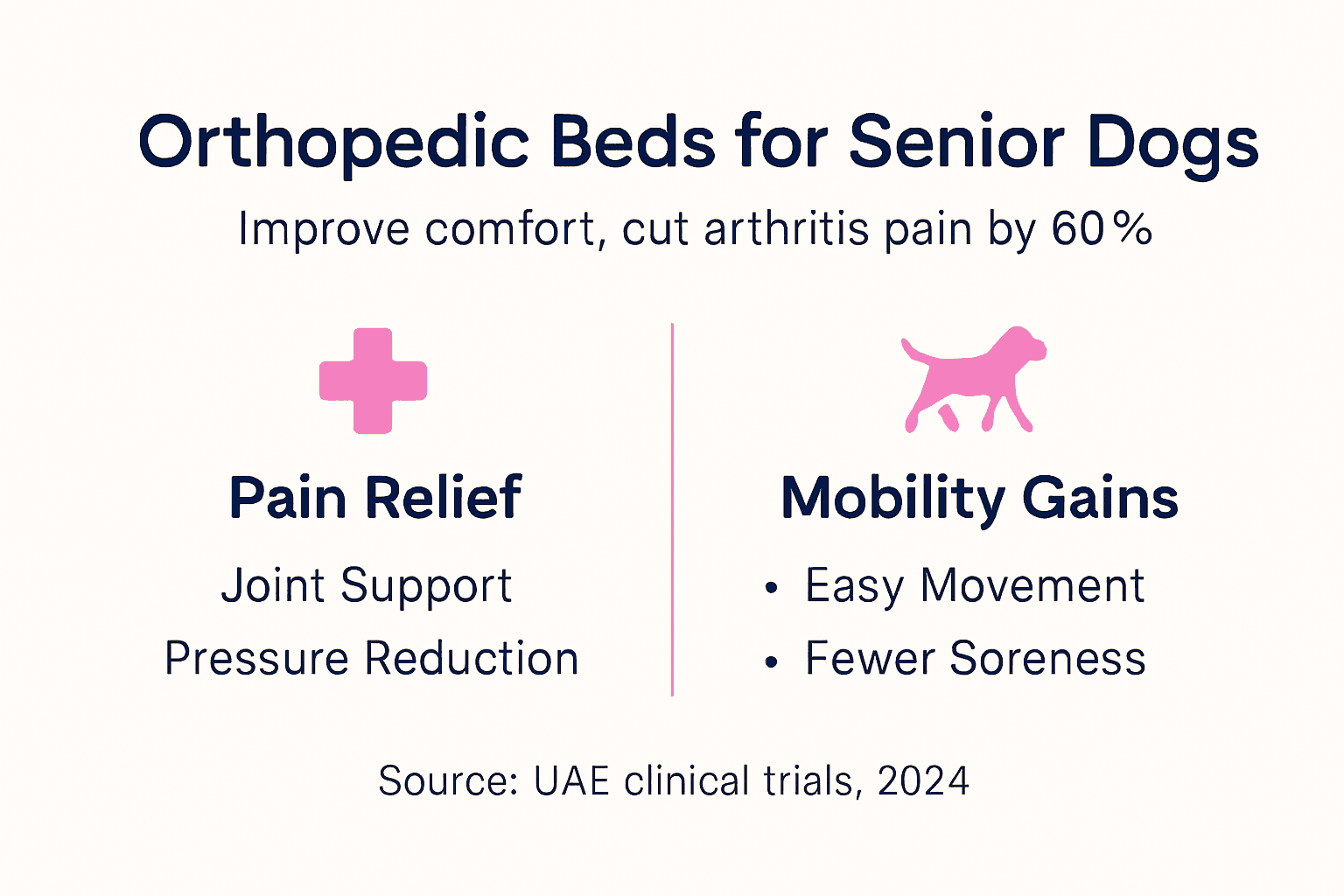 Infographic shows orthopedic bed benefits for dogs
