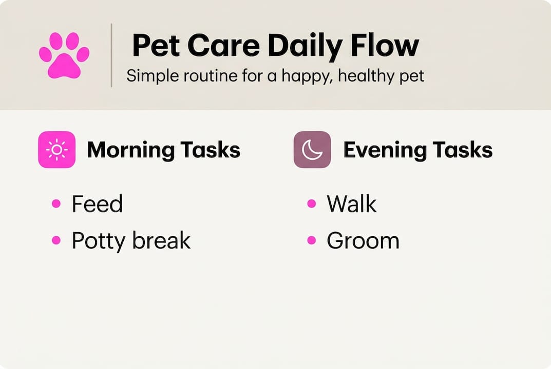 Infographic outlining daily pet care routine