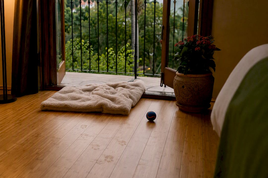 Hardwood rental floor with pet paw prints and patio access