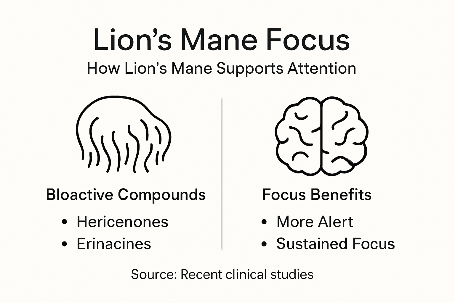 Infographic showing Lion's Mane key compounds and focus benefits