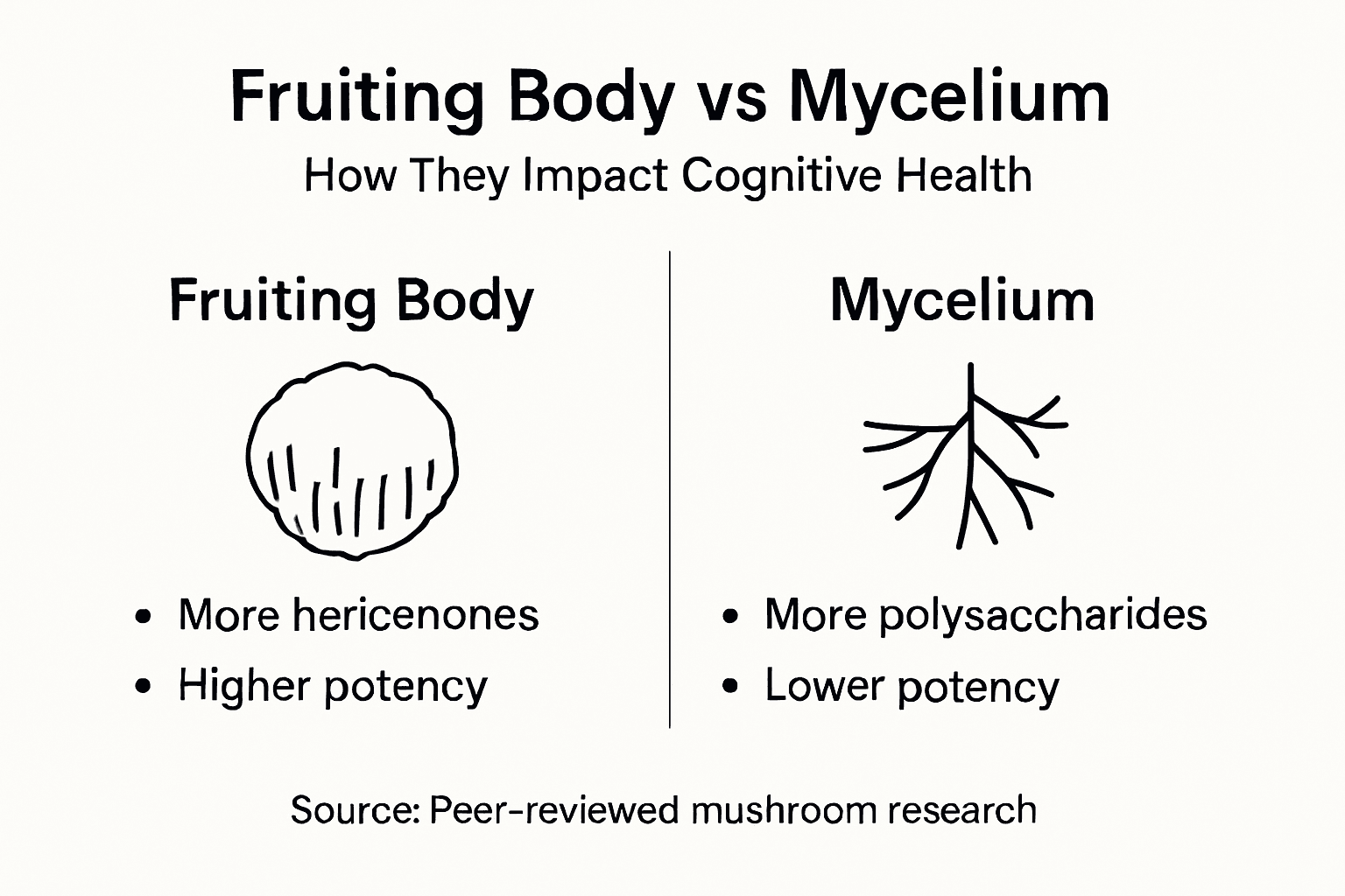 Infographic comparing fruiting body and mycelium benefits