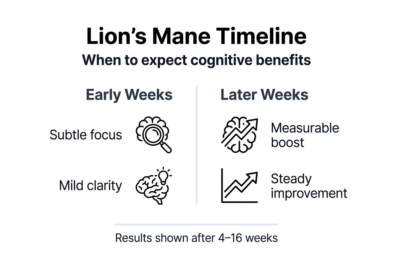 Infographic showing Lion's Mane benefits timeline