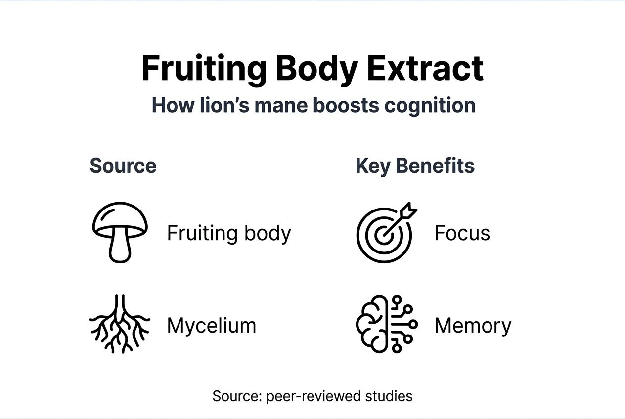 Infographic overview lion’s mane cognitive benefits