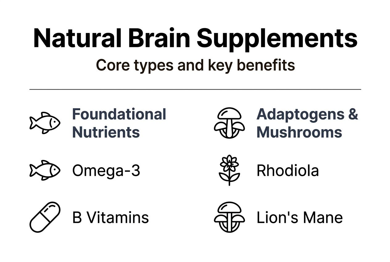 Infographic on brain supplement types and benefits