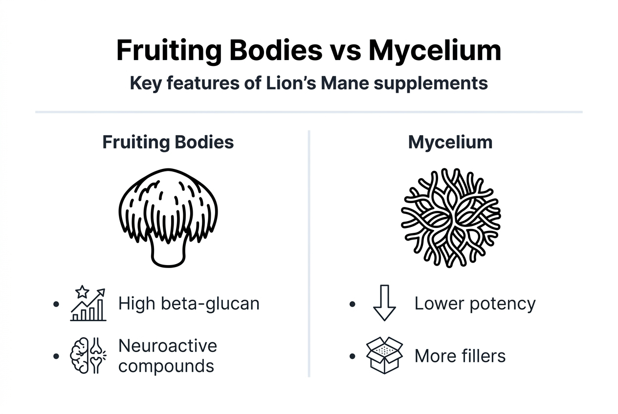 Infographic comparing fruiting bodies and mycelium