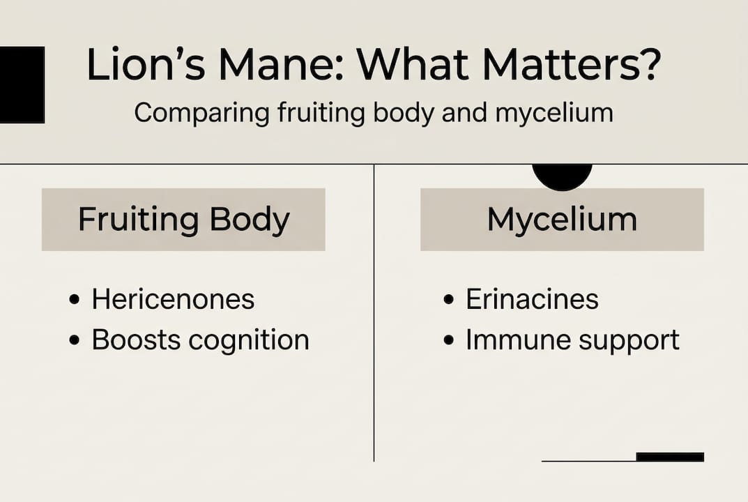 Infographic comparing fruiting body and mycelium benefits