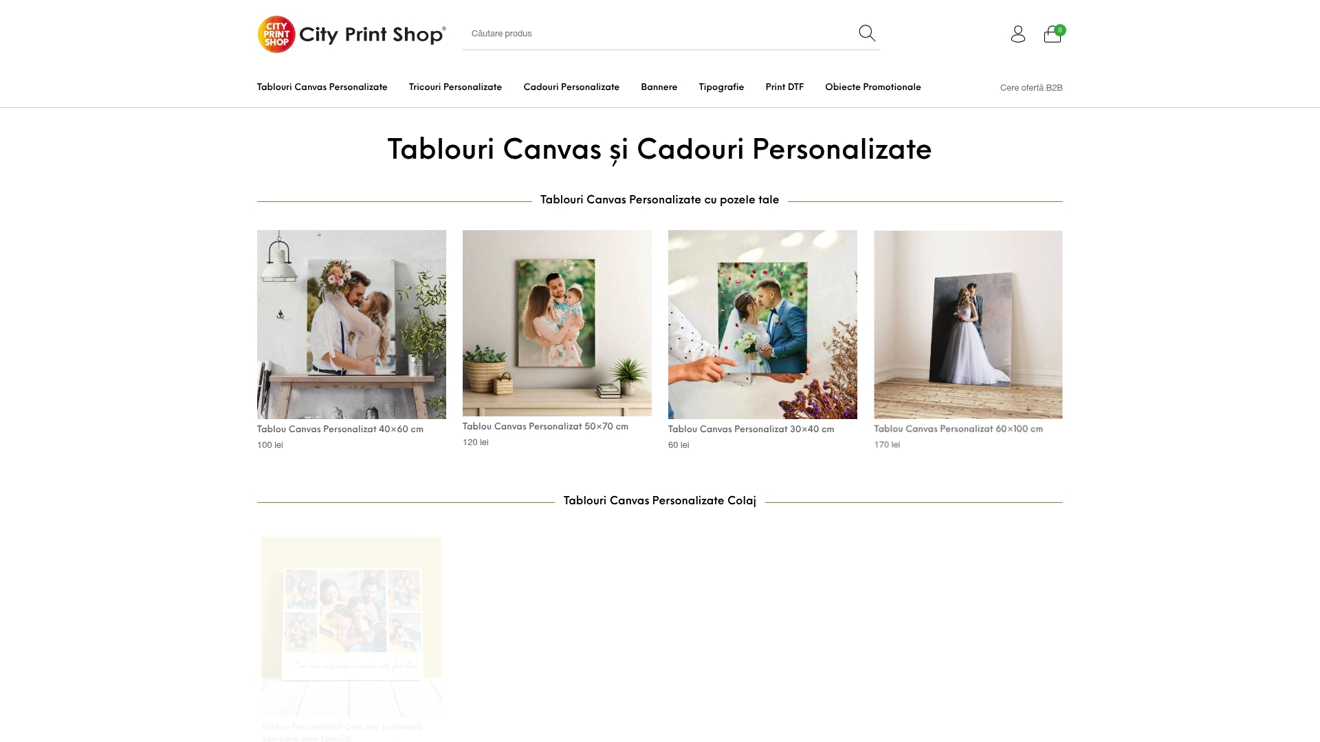 Product Screenshot