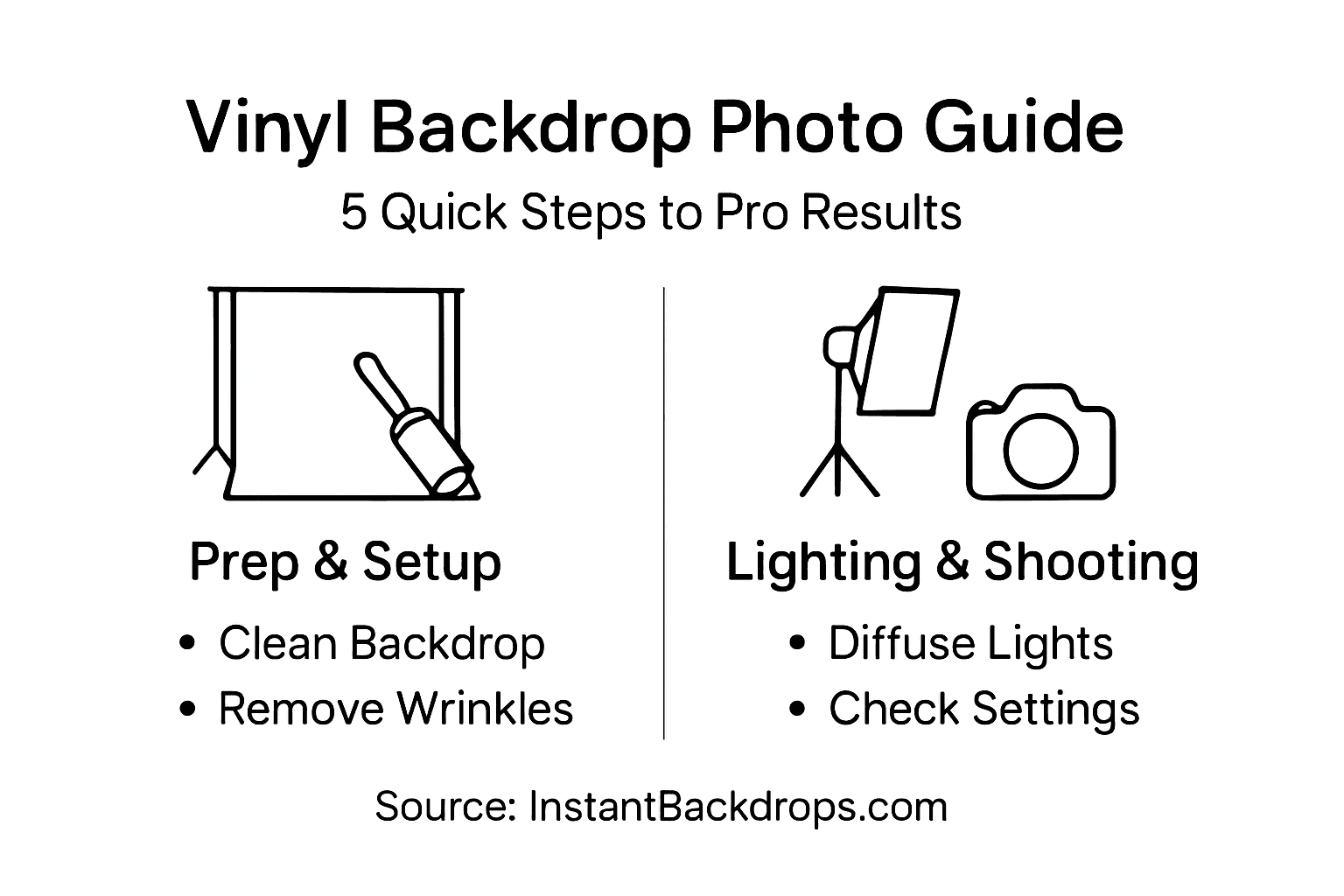Infographic vinyl product photo best practices