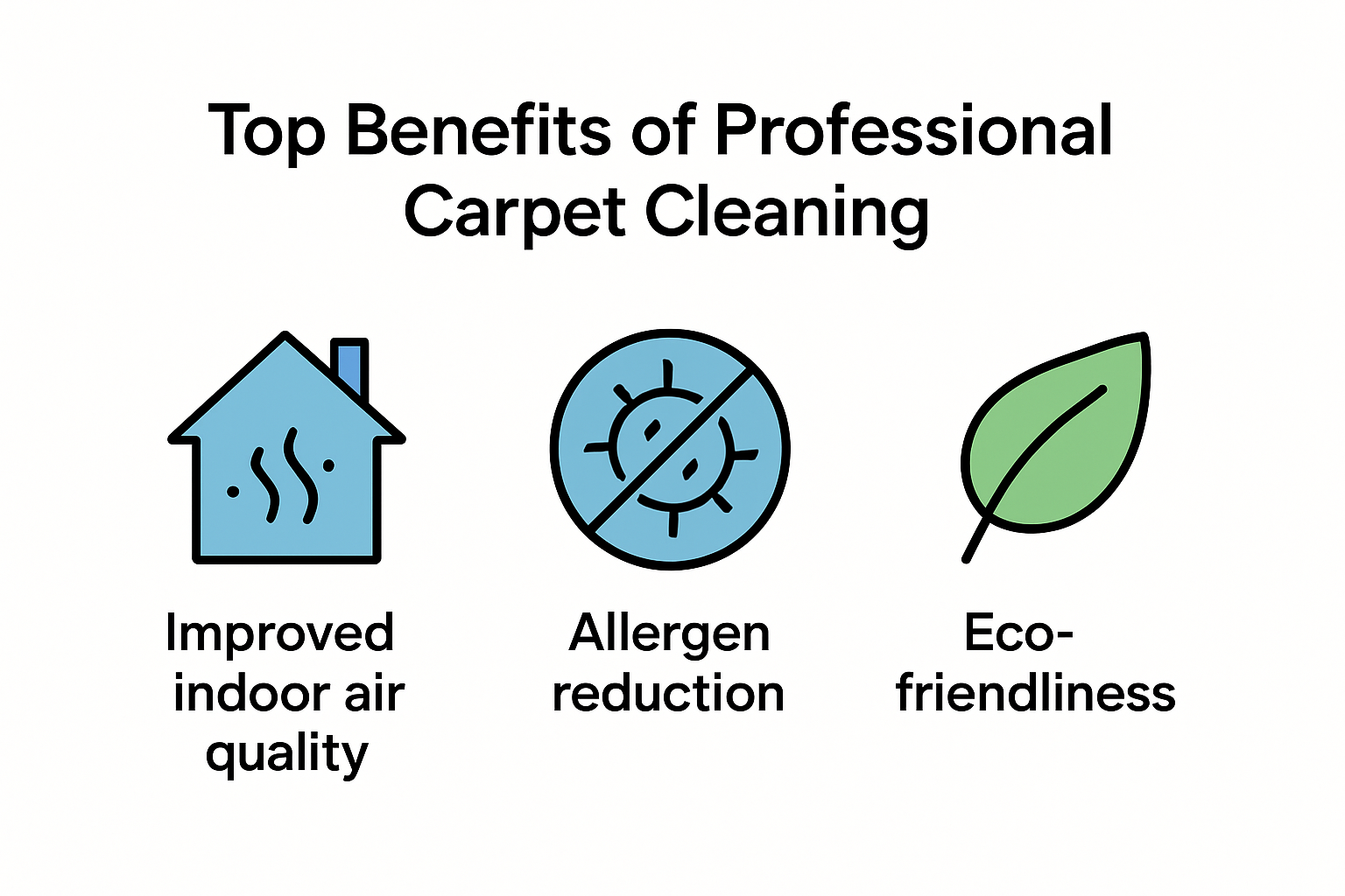 Key benefits of professional carpet cleaning infographic