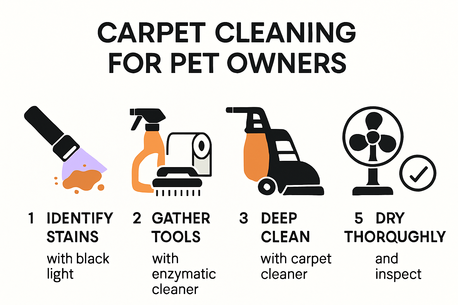 5-step carpet cleaning guide for pet owners infographic