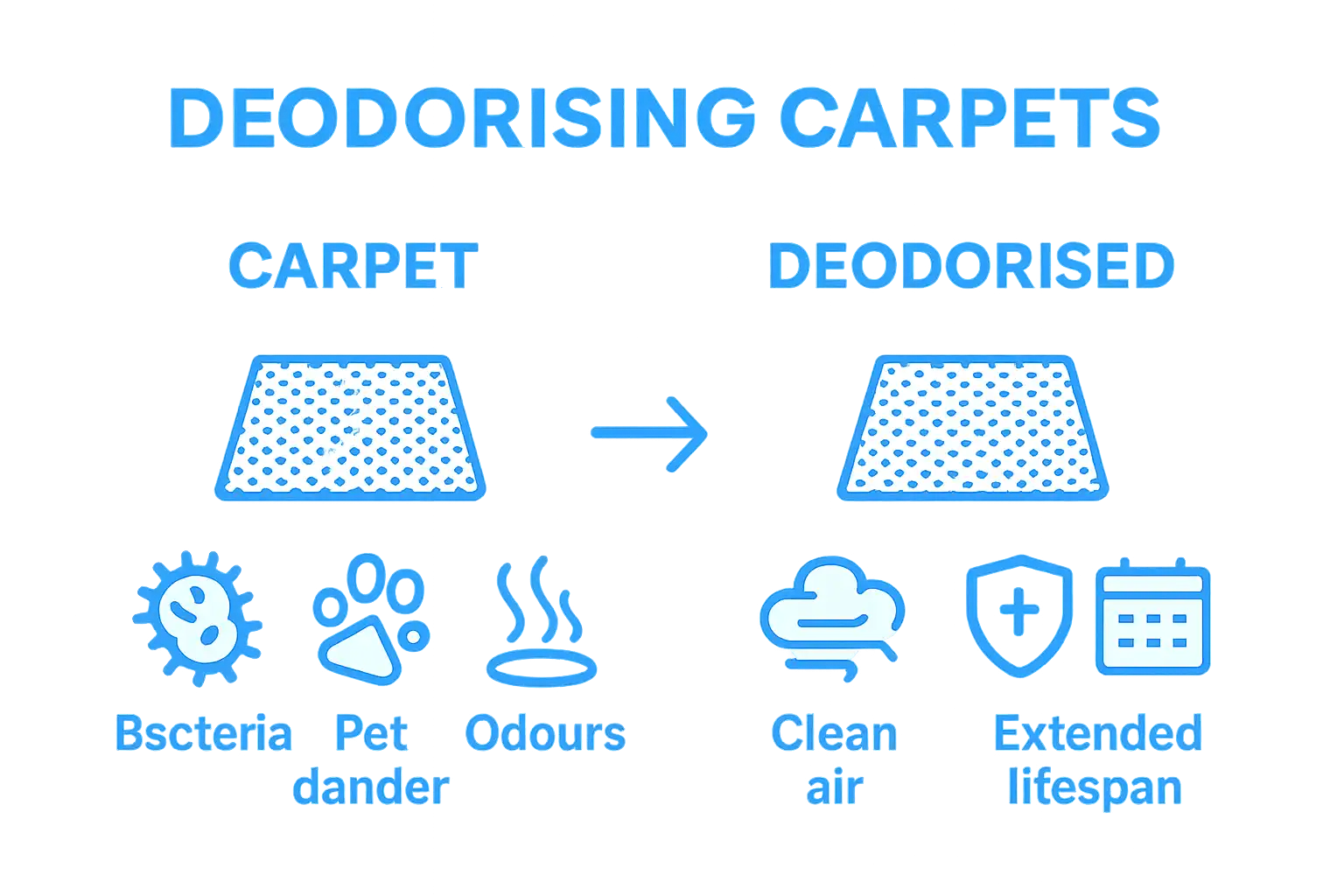 Carpet before and after deodorizing comparison