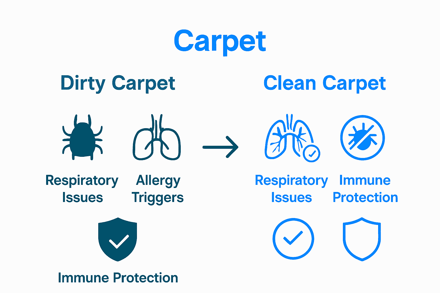Infographic comparing health effects of dirty and clean carpets