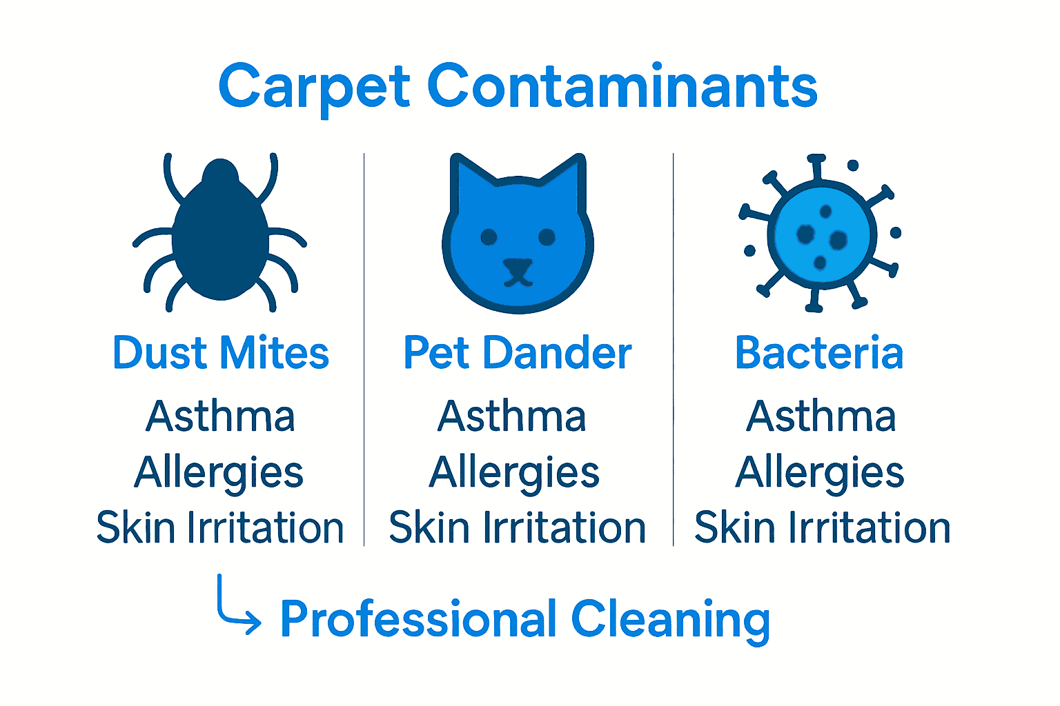 Infographic identifying dust mites, pet dander, and bacteria in carpets and associated health risks.