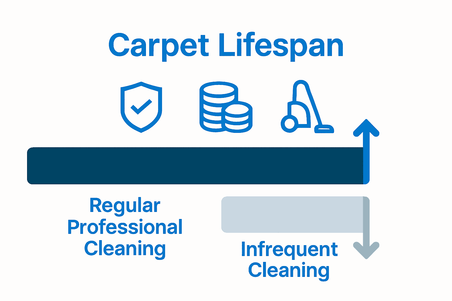 Infographic comparing carpet lifespan with and without professional cleaning, featuring bars and icons for cost, protection, and cleaning.