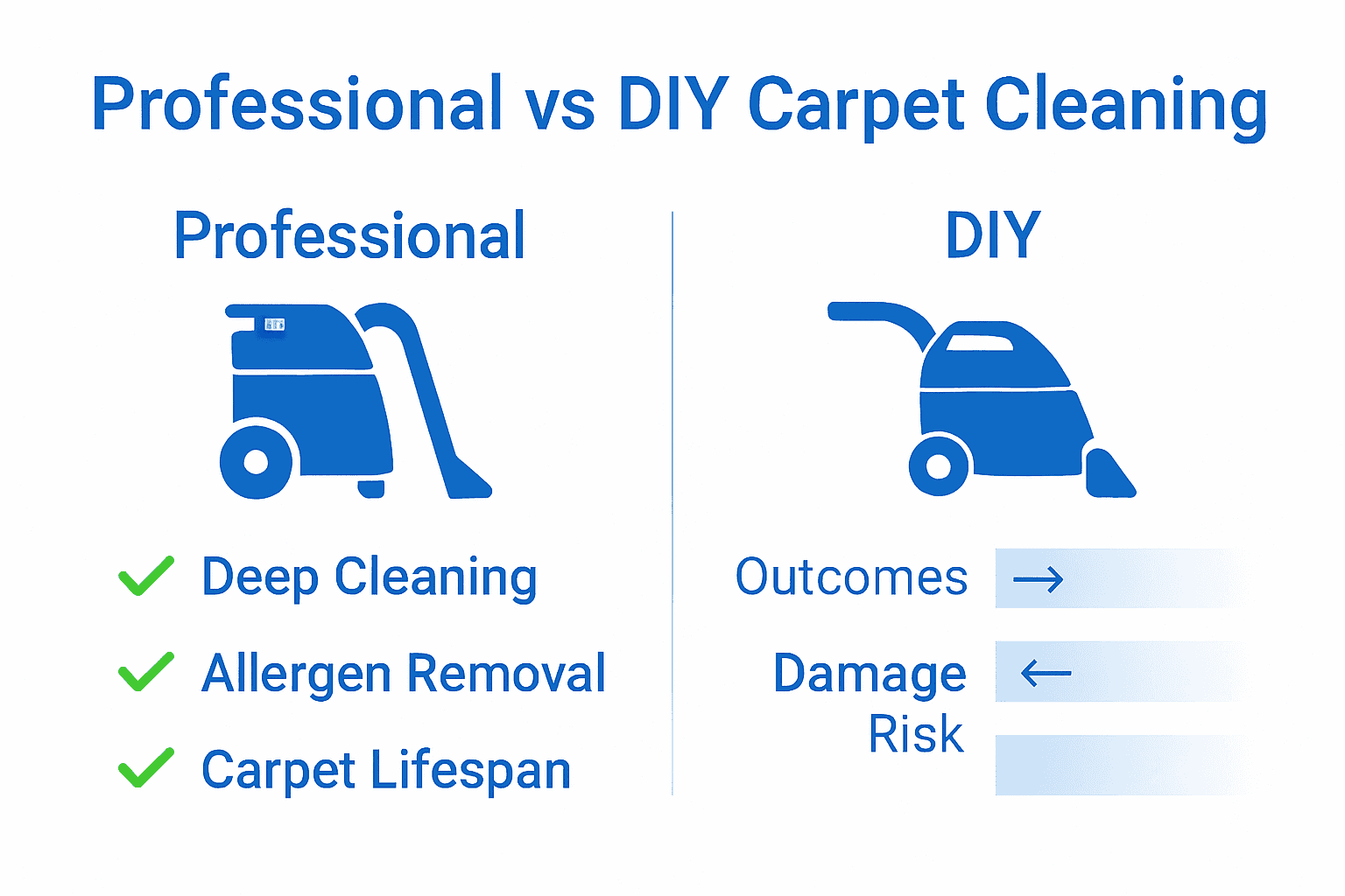 Infographic comparing professional and DIY carpet cleaning methods.