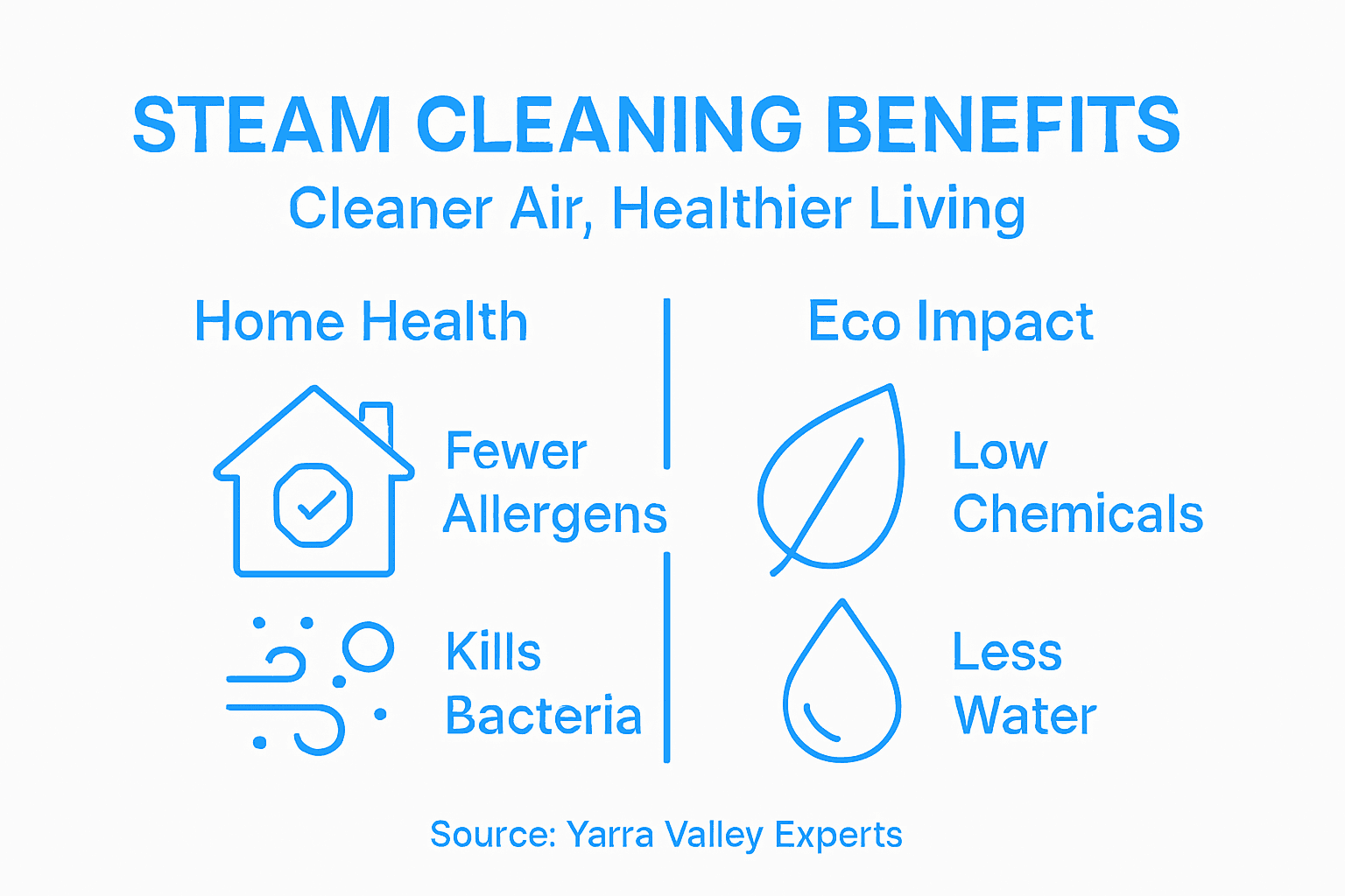 Infographic of steam cleaning’s health benefits