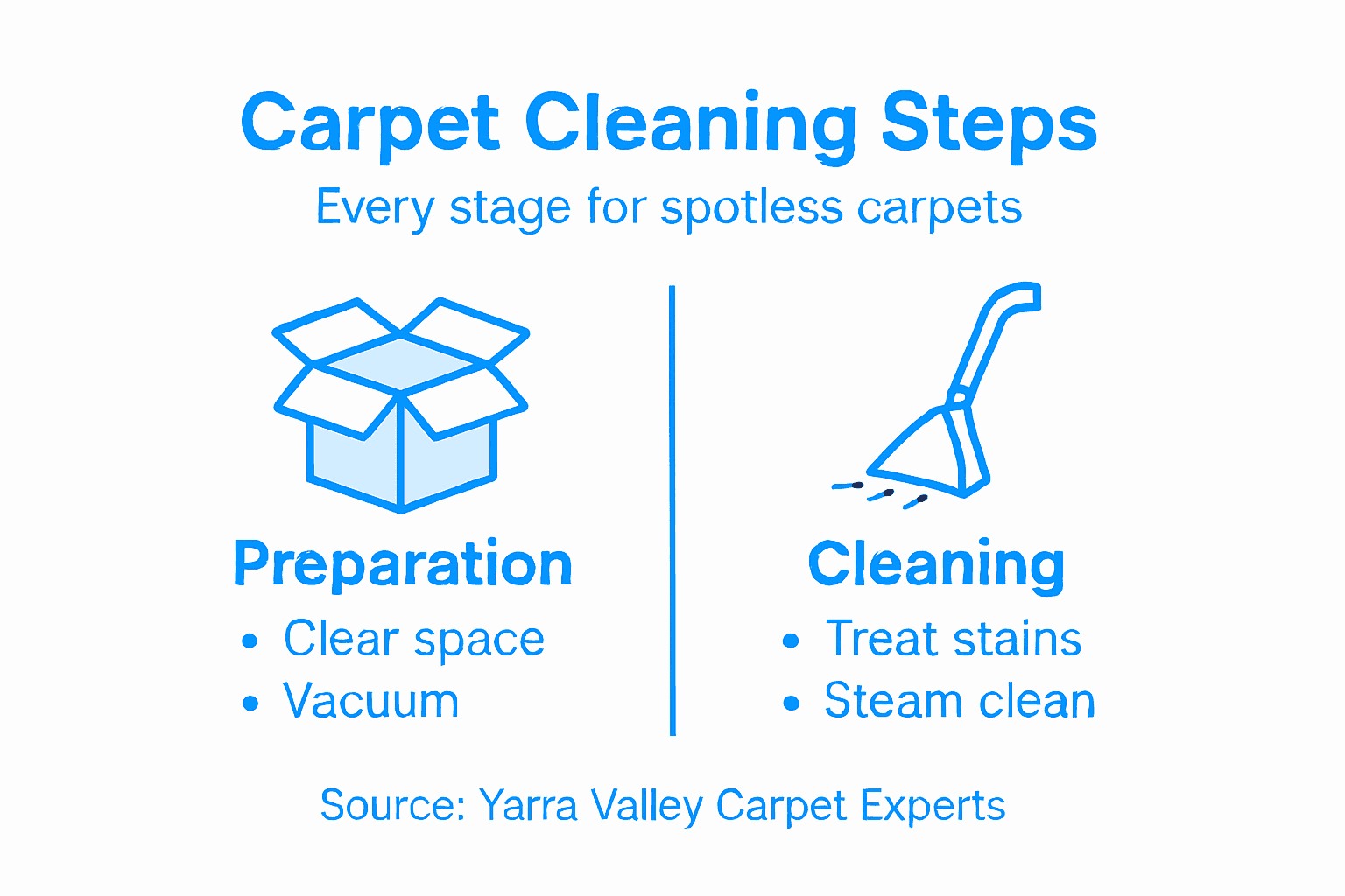 Infographic of carpet cleaning process steps