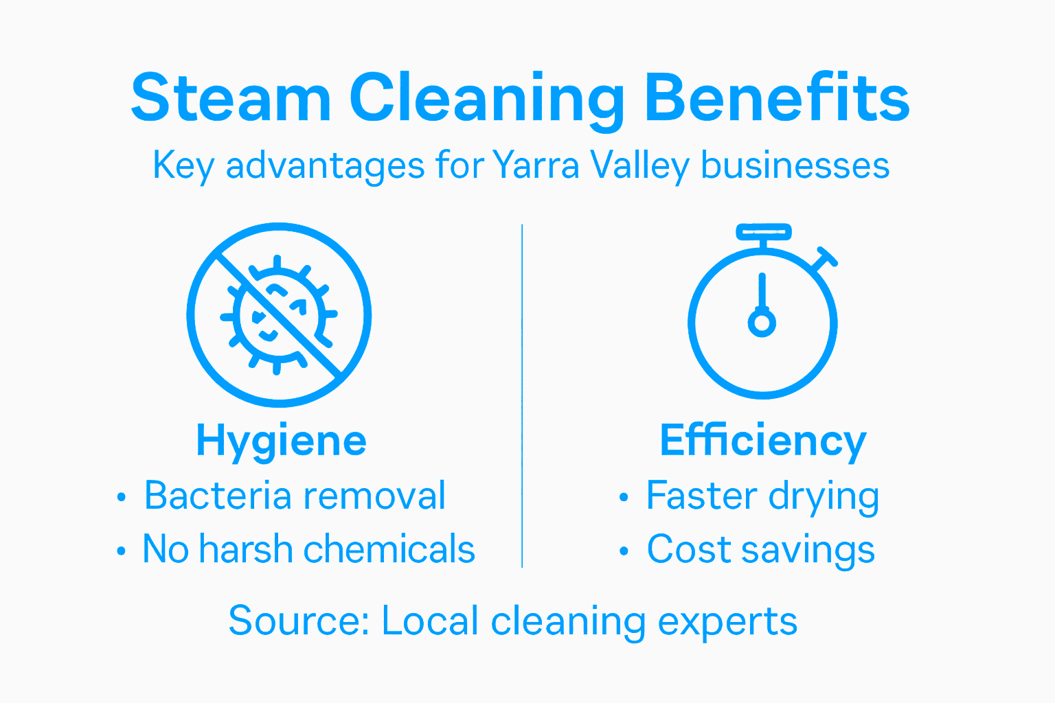 Infographic with steam cleaning benefits and efficiency
