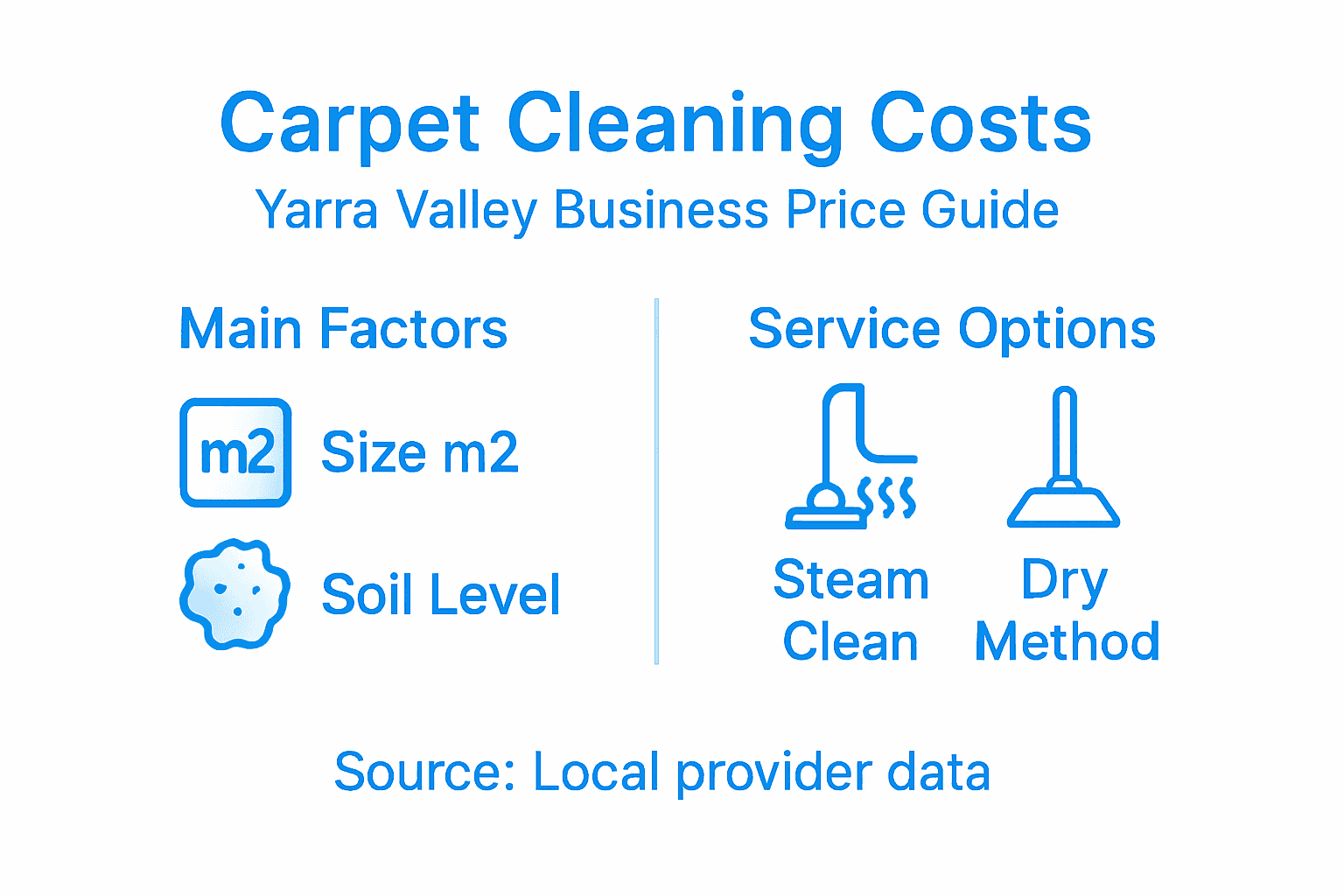 Infographic summarizing carpet cleaning cost factors