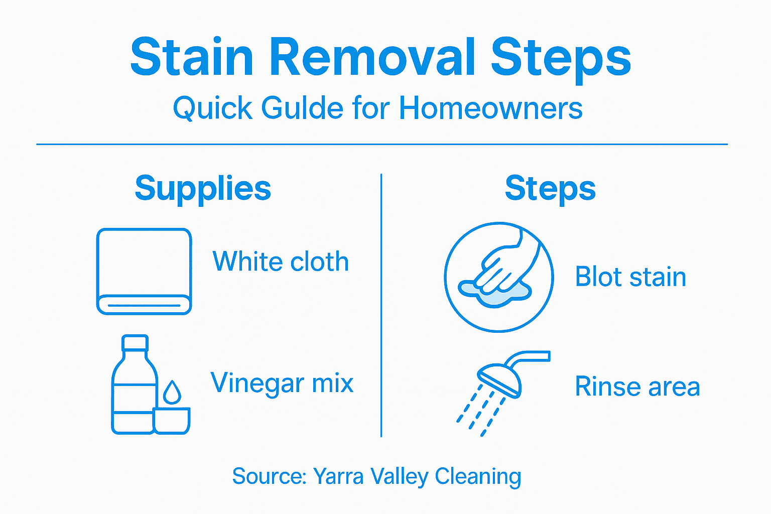 Infographic showing stain removal steps and supplies