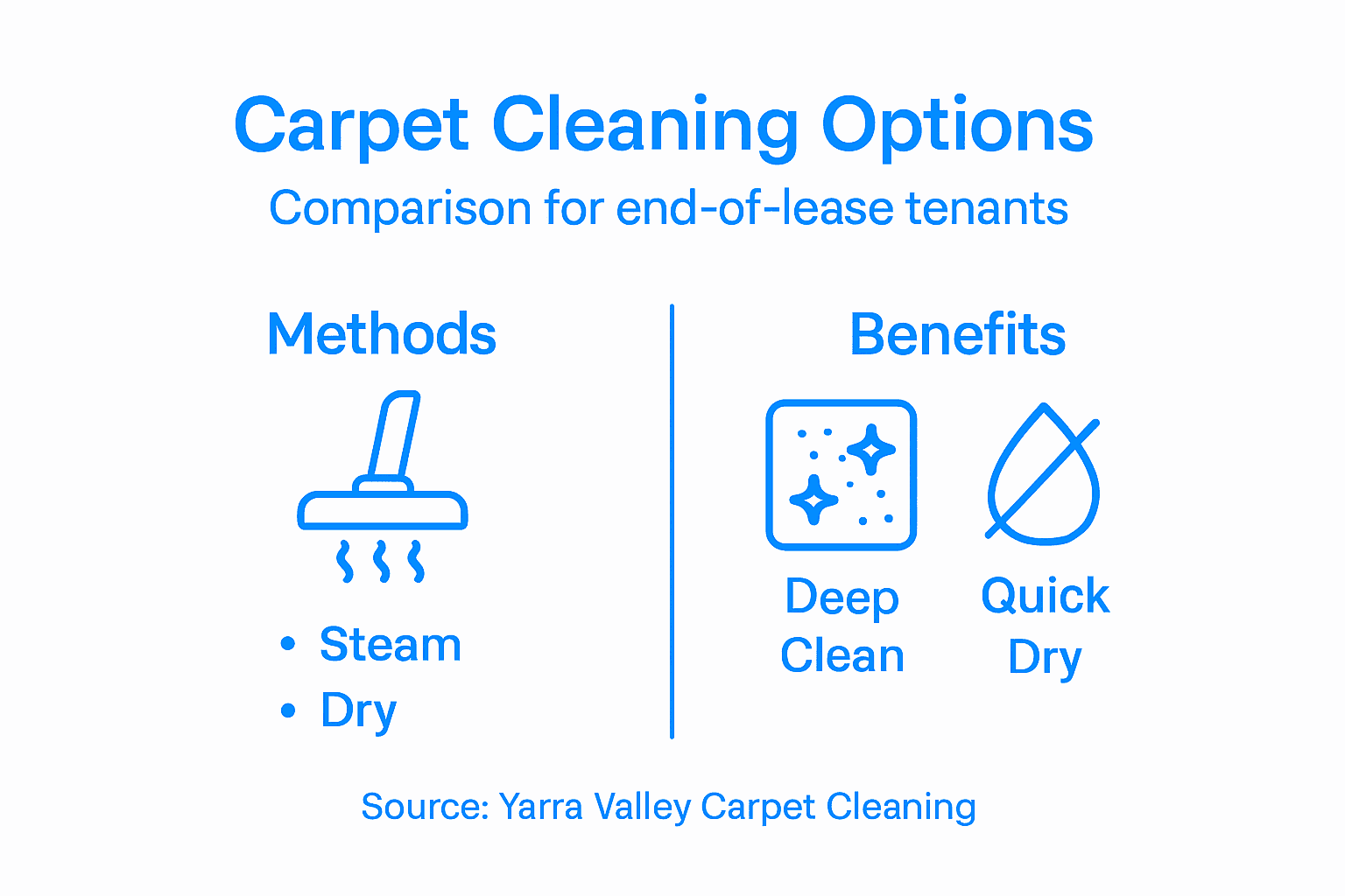 Infographic comparing carpet cleaning methods
