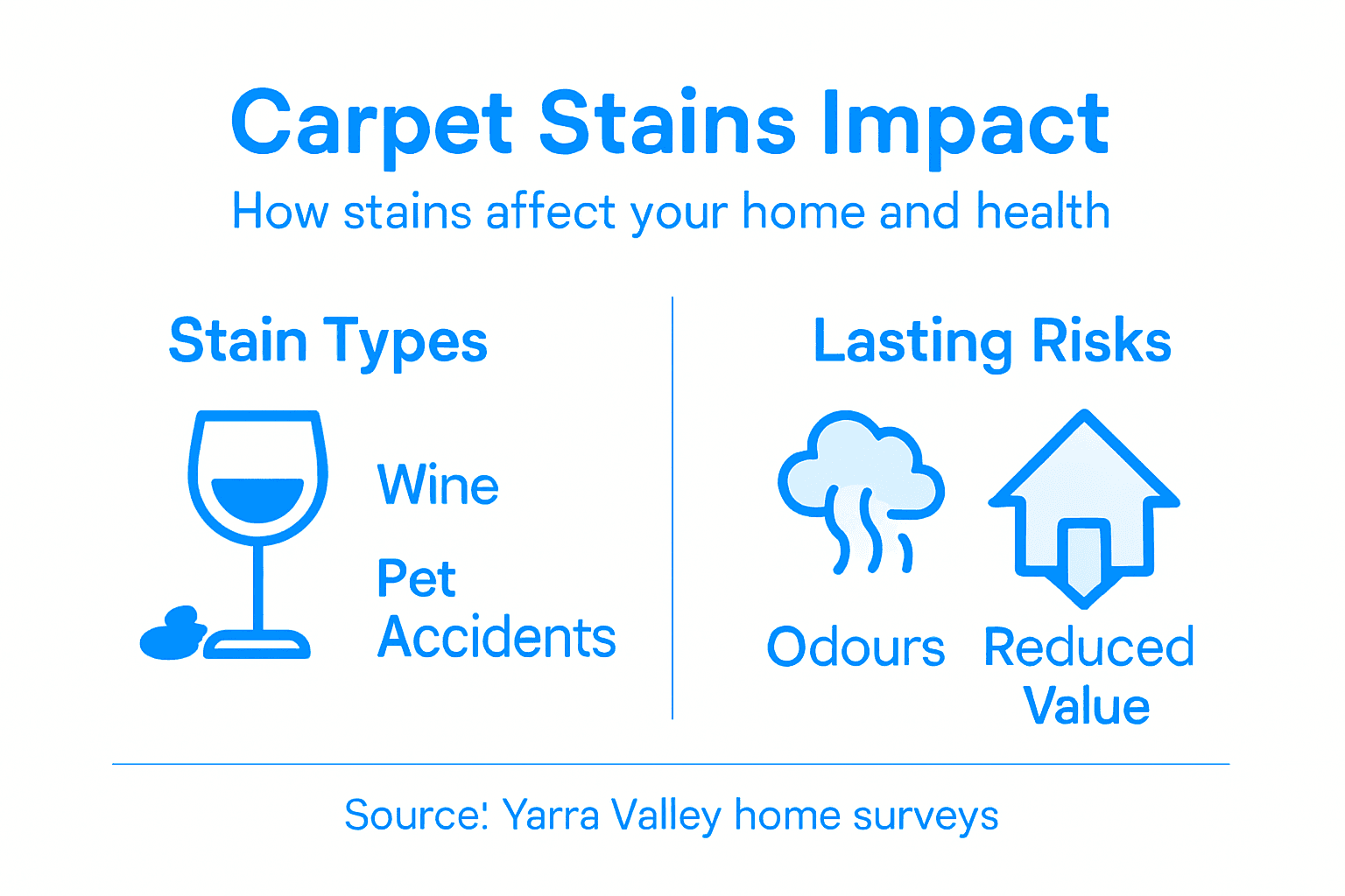 Infographic showing carpet stain types and risks