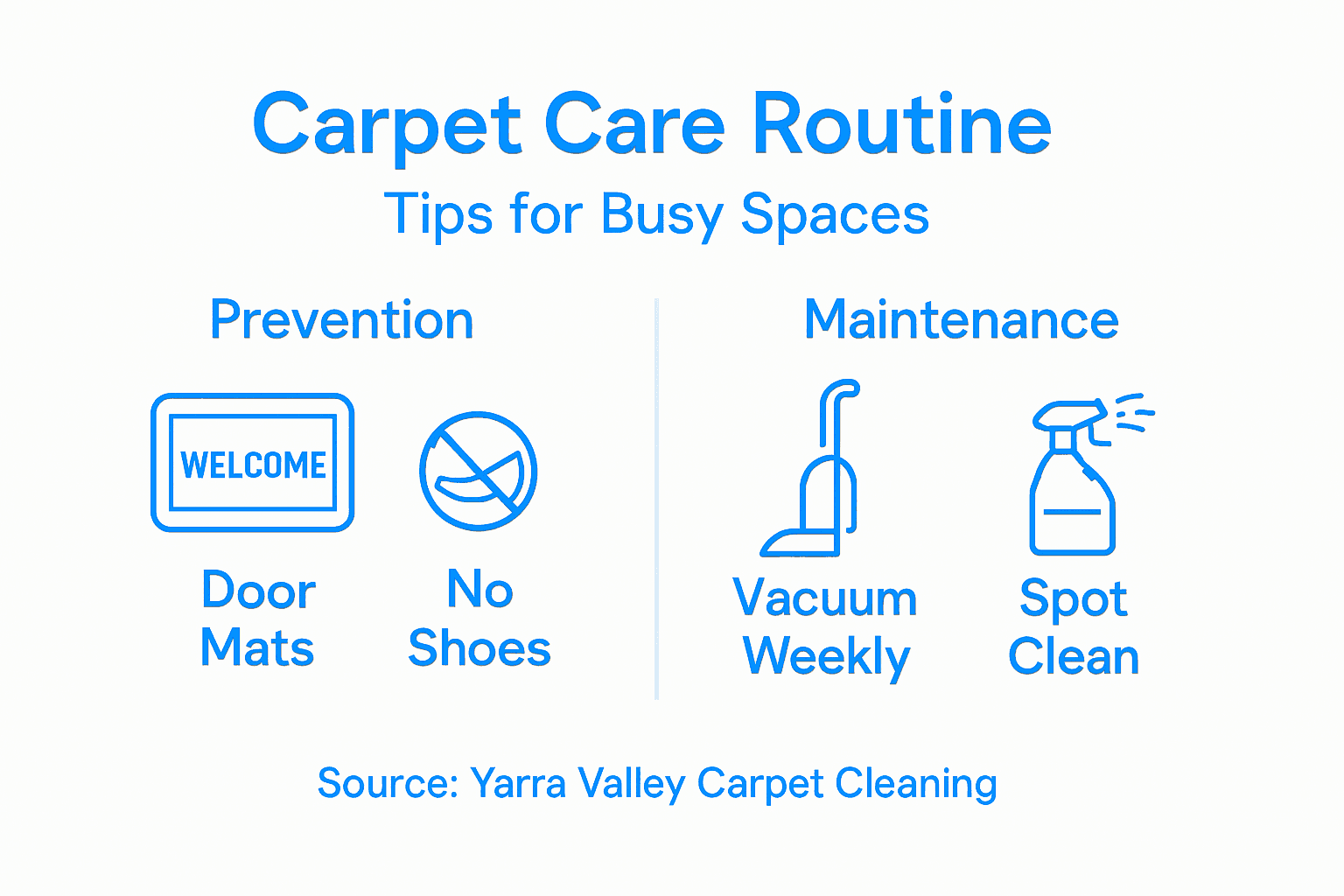 Infographic showing carpet care best practices