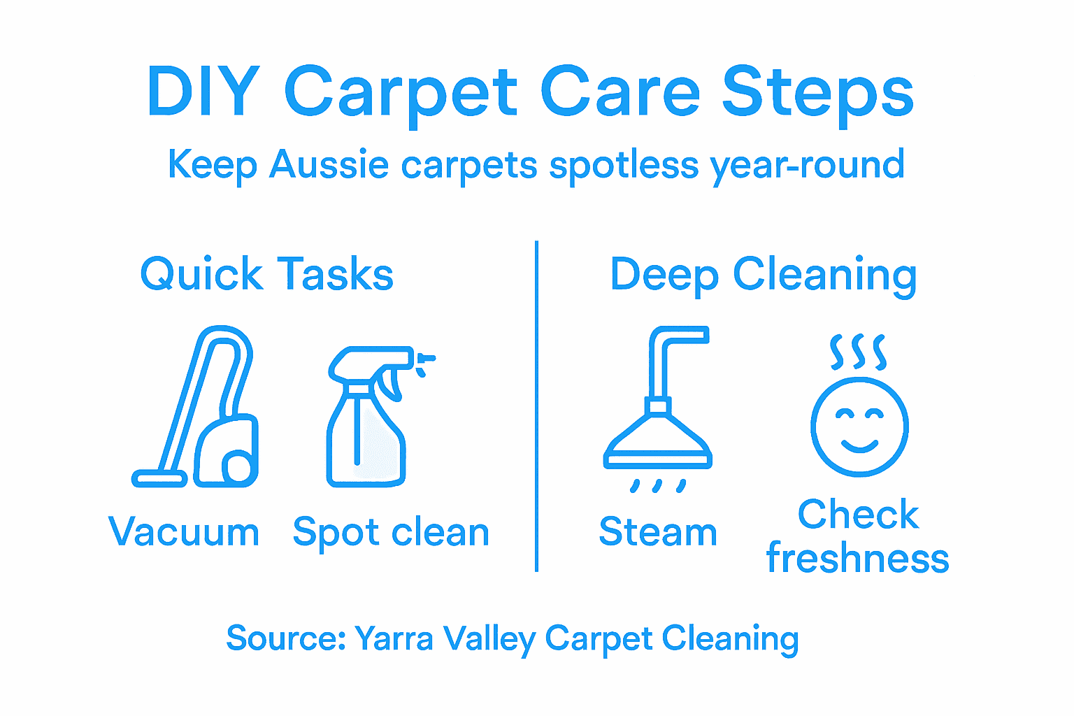 Infographic of DIY carpet care steps