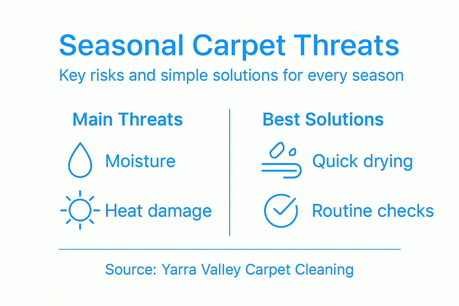 Infographic listing seasonal carpet risks and remedies