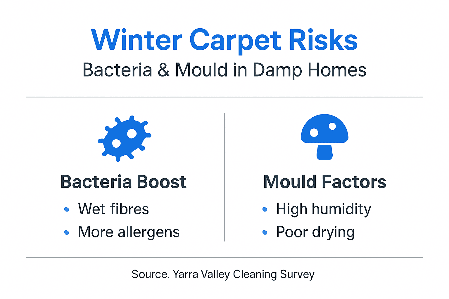 Infographic on carpet bacteria and mould risks