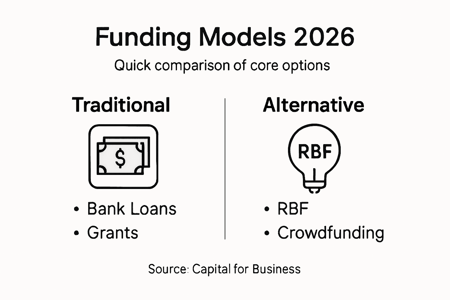 Infographic compares business funding types