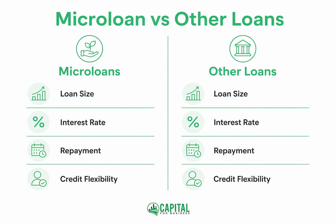 Infographic comparing microloans to other loan types