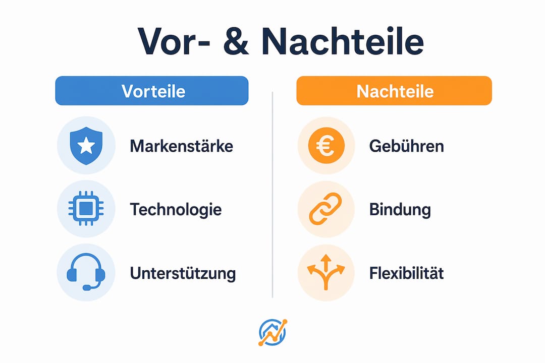 Infografik: Die Stärken und Schwächen von Franchise-Maklern auf einen Blick