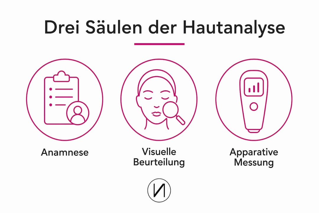 Die Infografik veranschaulicht die drei zentralen Bereiche der Hautanalyse.