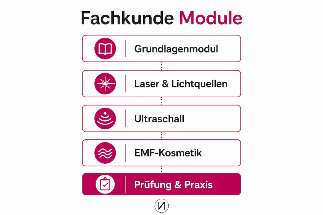Übersicht der Module und Prüfungen zum Nachweis der Fachkunde – anschaulich erklärt in einer Infografik