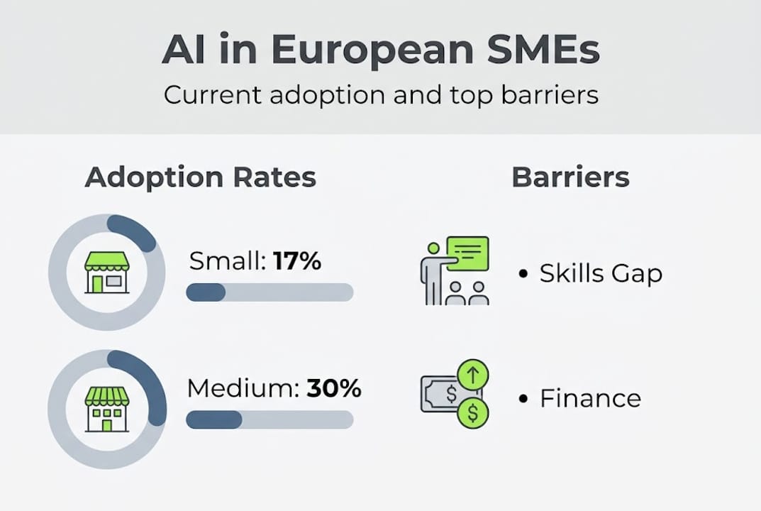 Infographic of SME AI adoption rates and barriers