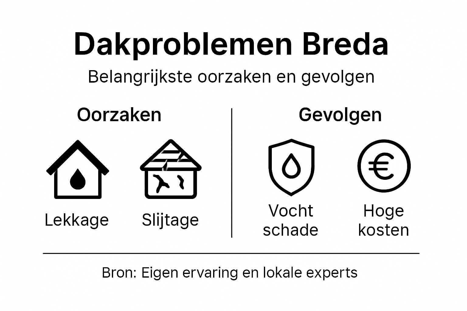 Infographic: veelvoorkomende dakproblemen in Breda – oorzaken en gevolgen op een rij
