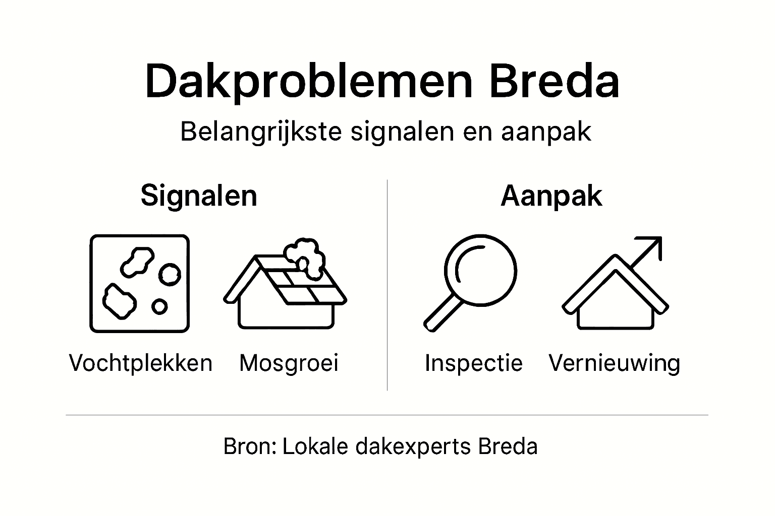 Overzicht van veelvoorkomende dakproblemen en renovatiemogelijkheden in Breda