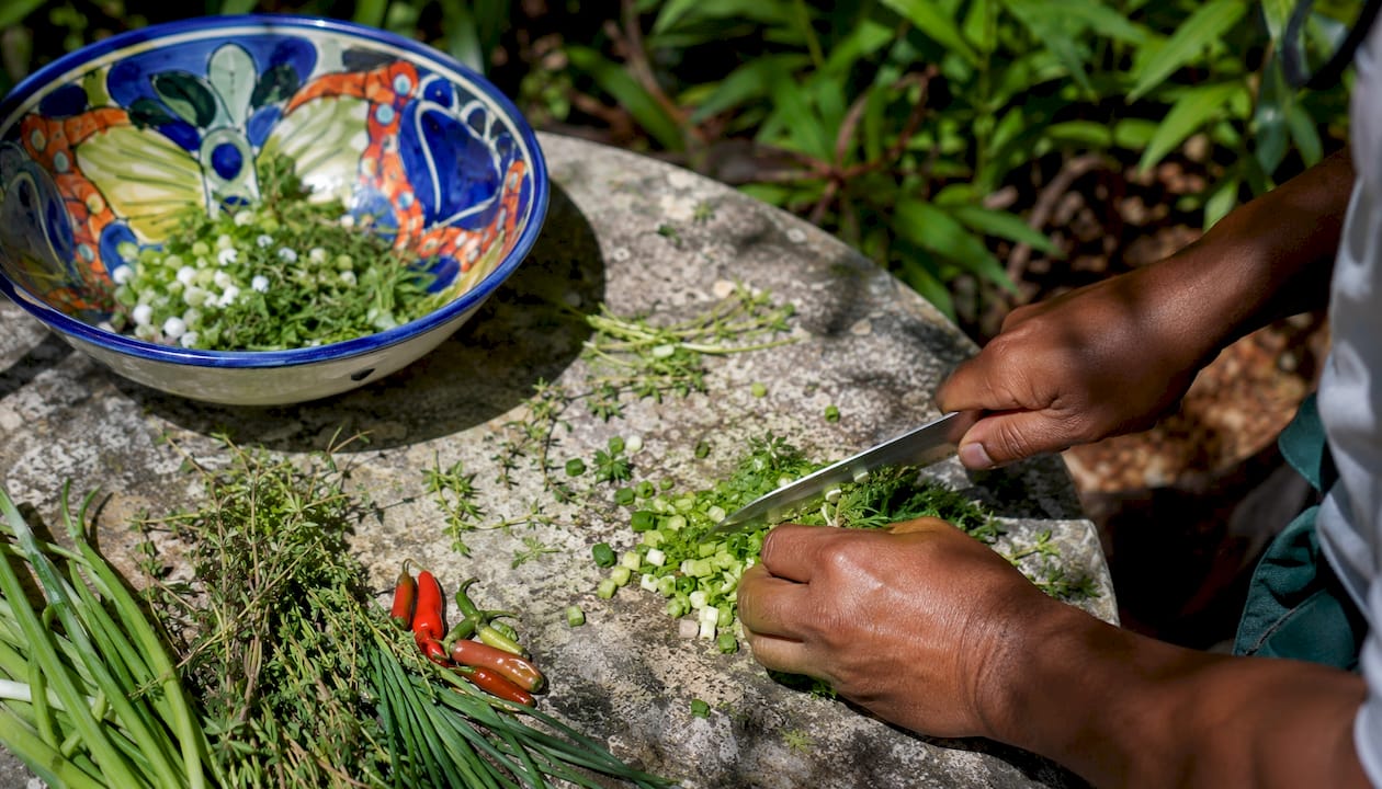 Hands chopping herbs for green seasoning