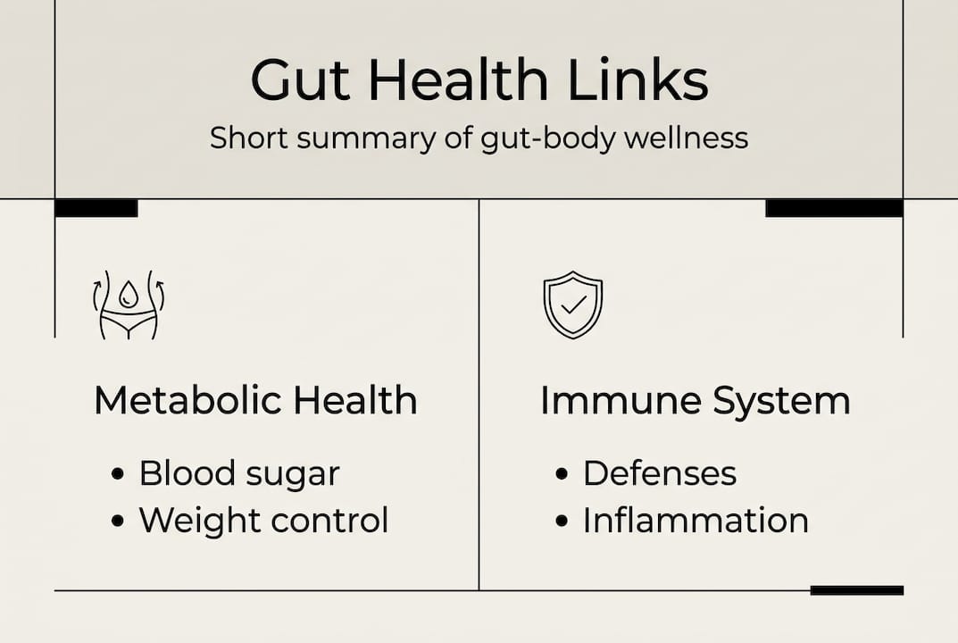 Infographic summarizing gut health influences