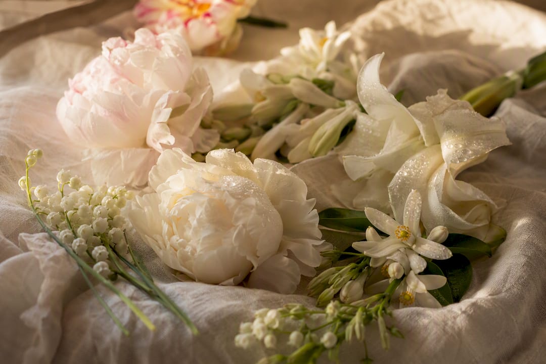 Close-up of white and pink flowers on navy cloth