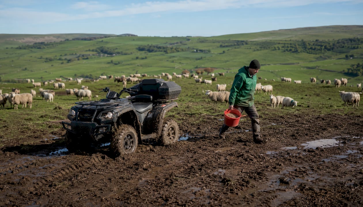 Commercial ATV in pasture area with worker