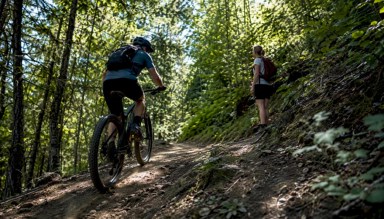 Mountain biker and hiker on forest trail