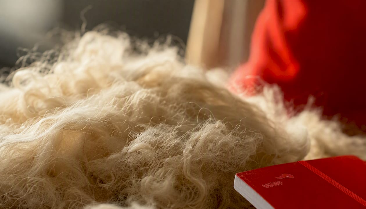 Close-up of wool fibres showing insulation