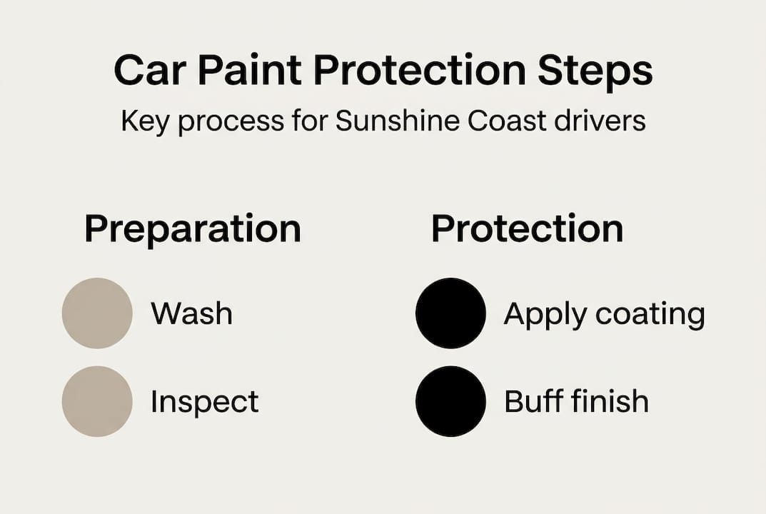 Infographic outlining car paint protection steps