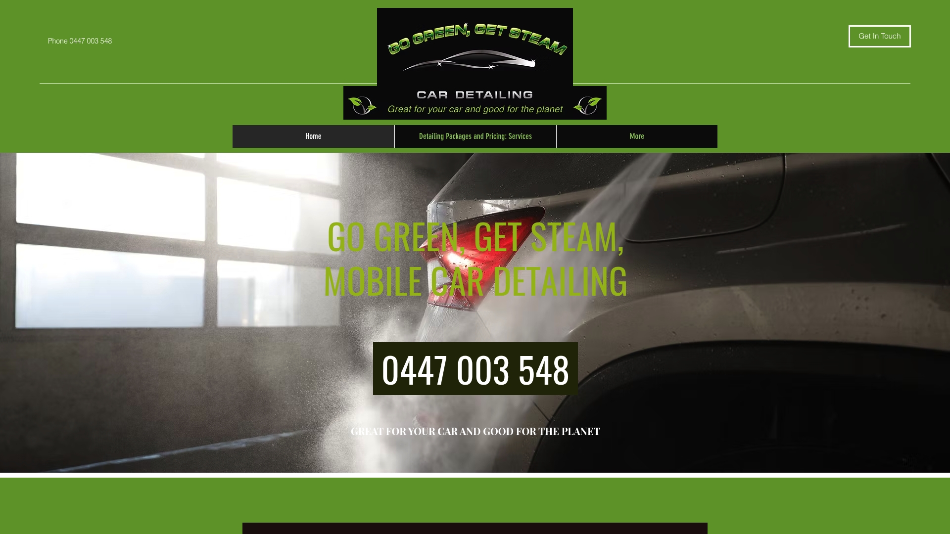 https://gogreengetsteam.com
