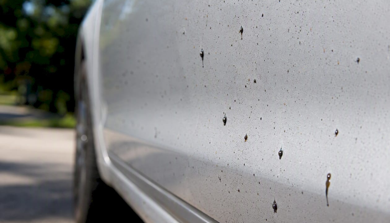 Various types of tar on car paint surface