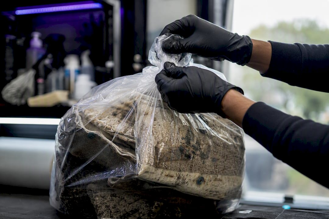 Hands sealing mouldy carpet in plastic bag